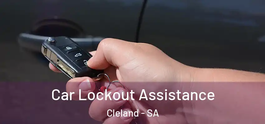 Car Lockout Assistance Cleland - SA