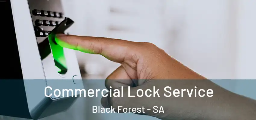  Commercial Lock Service Black Forest - SA