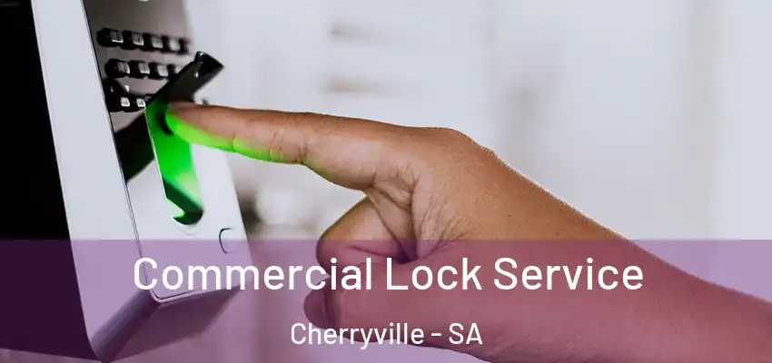 Commercial Lock Service Cherryville - SA