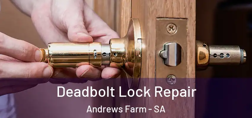 Deadbolt Lock Repair Andrews Farm - SA