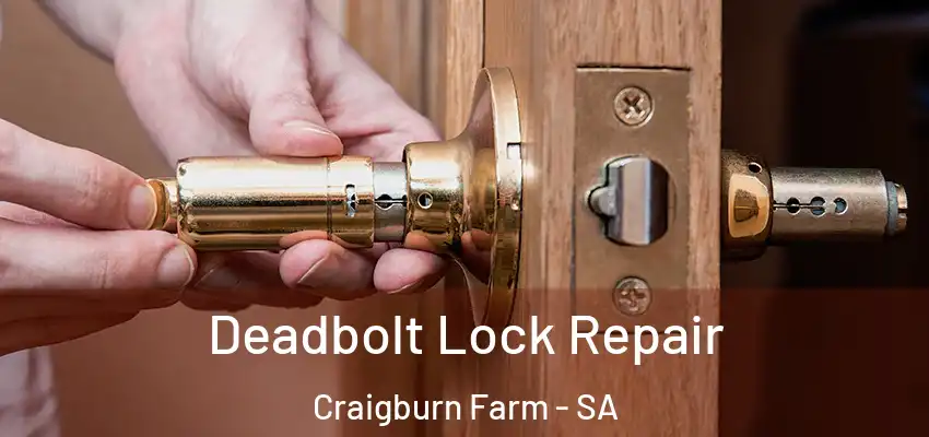 Deadbolt Lock Repair Craigburn Farm - SA