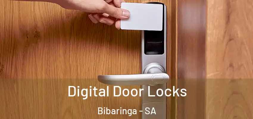 Digital Door Locks Bibaringa - SA
