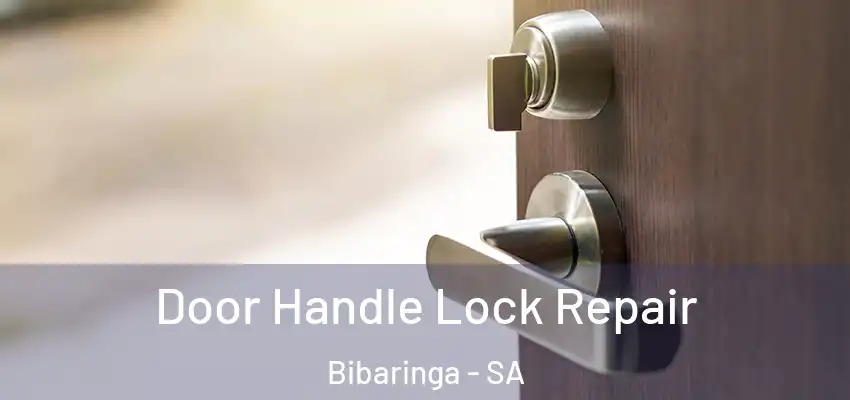 Door Handle Lock Repair Bibaringa - SA