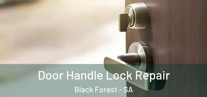 Door Handle Lock Repair Black Forest - SA
