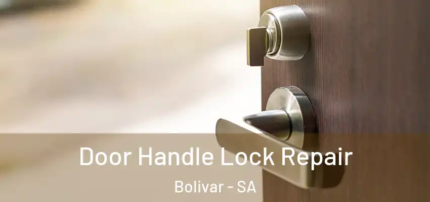 Door Handle Lock Repair Bolivar - SA