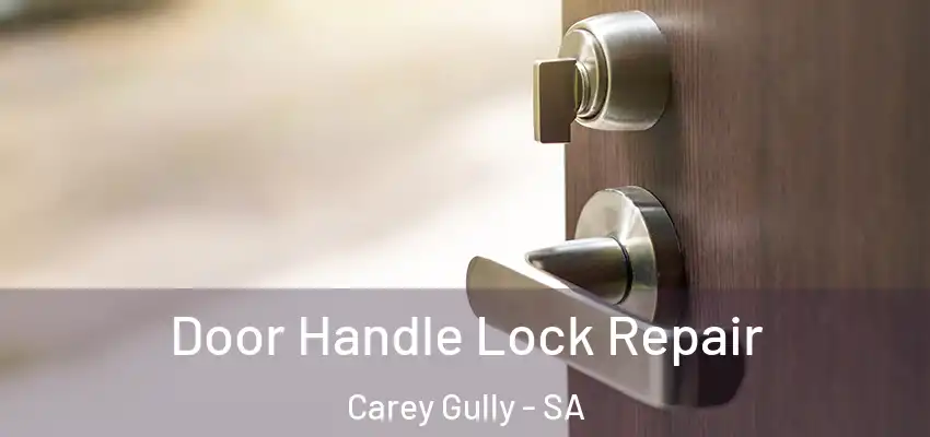 Door Handle Lock Repair Carey Gully - SA