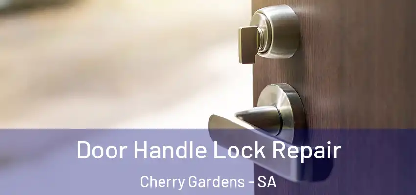 Door Handle Lock Repair Cherry Gardens - SA