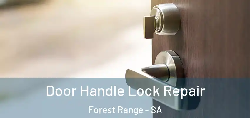 Door Handle Lock Repair Forest Range - SA
