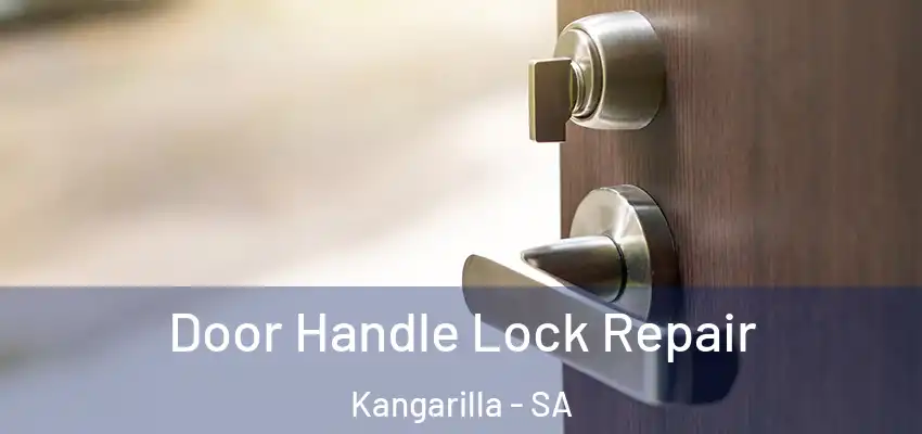Door Handle Lock Repair Kangarilla - SA