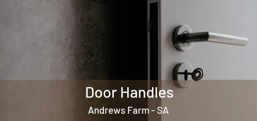  Door Handles Andrews Farm - SA