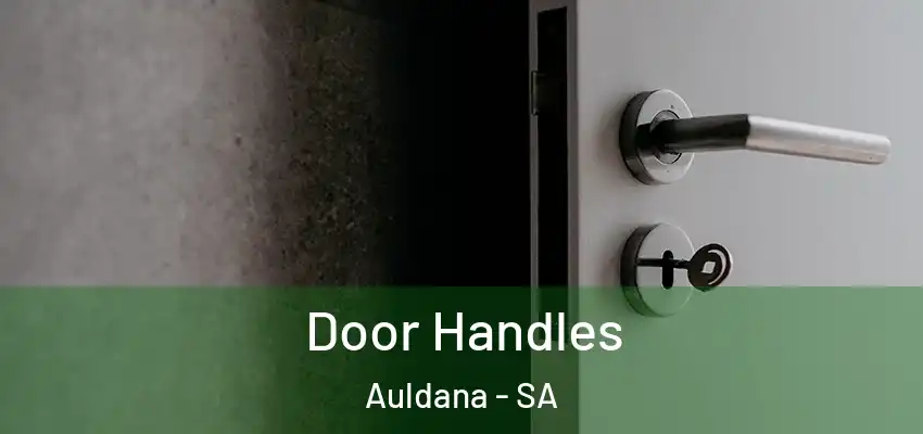 Door Handles Auldana - SA