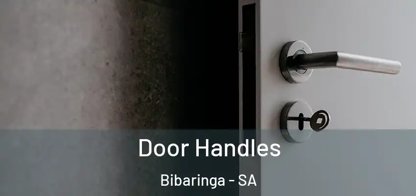  Door Handles Bibaringa - SA