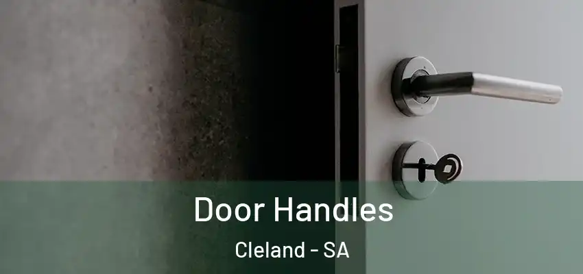  Door Handles Cleland - SA