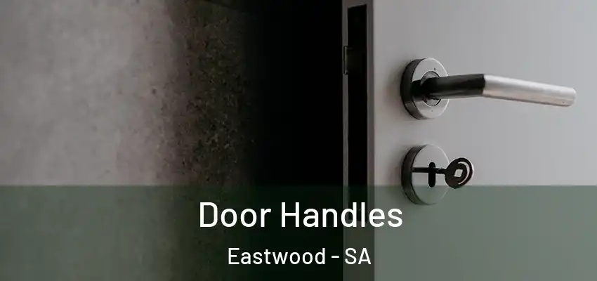  Door Handles Eastwood - SA