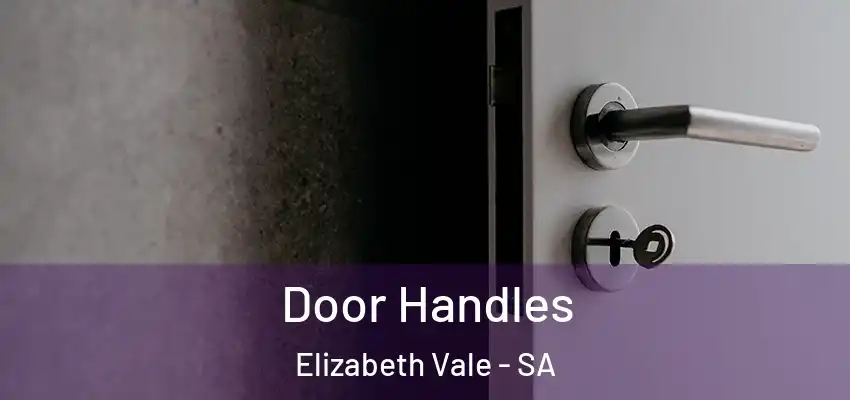 Door Handles Elizabeth Vale - SA