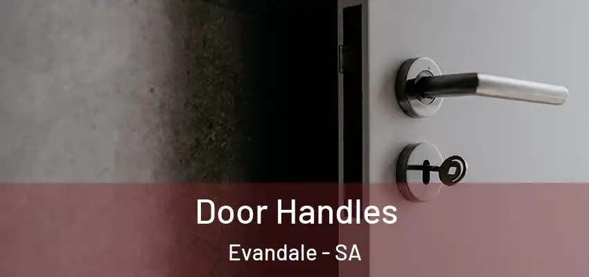 Door Handles Evandale - SA