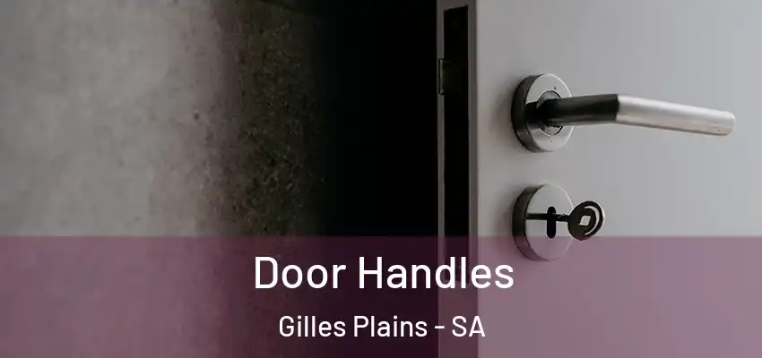  Door Handles Gilles Plains - SA