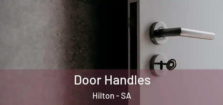 Door Handles Hilton - SA