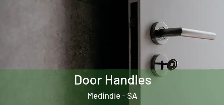 Door Handles Medindie - SA