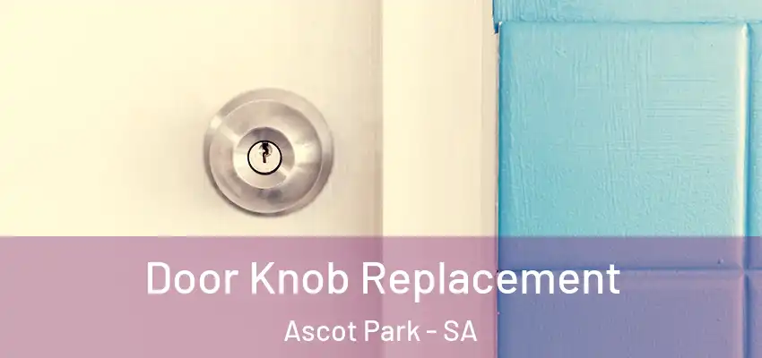 Door Knob Replacement Ascot Park - SA
