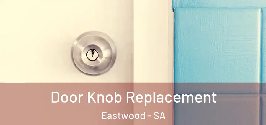 Door Knob Replacement Eastwood - SA