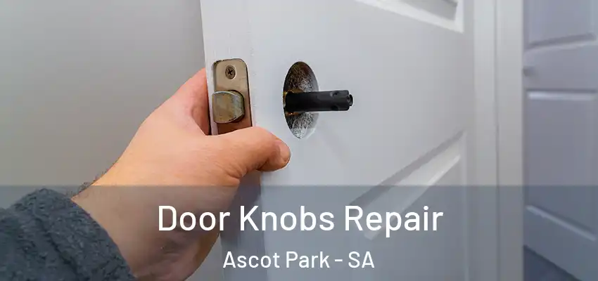 Door Knobs Repair Ascot Park - SA