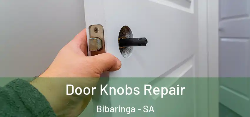 Door Knobs Repair Bibaringa - SA