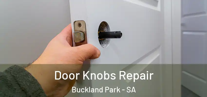 Door Knobs Repair Buckland Park - SA