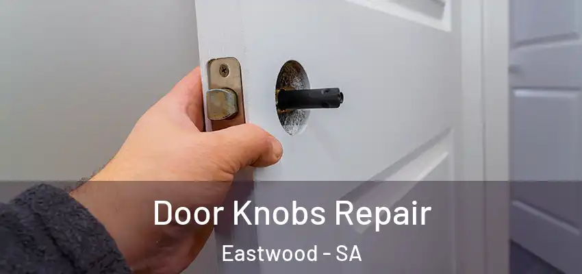 Door Knobs Repair Eastwood - SA