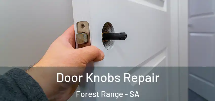 Door Knobs Repair Forest Range - SA