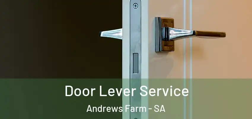 Door Lever Service Andrews Farm - SA