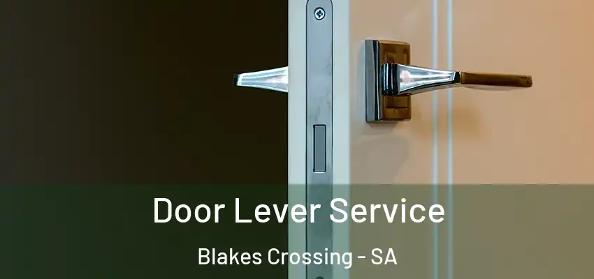 Door Lever Service Blakes Crossing - SA
