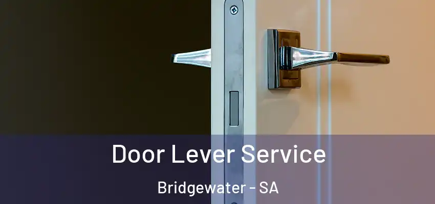  Door Lever Service Bridgewater - SA