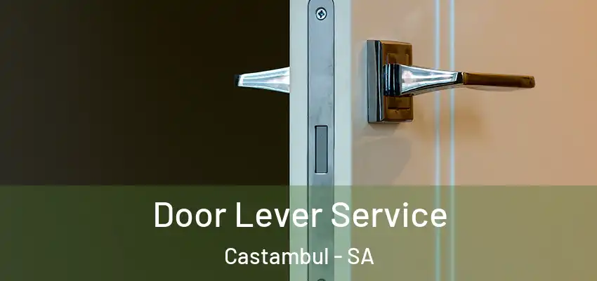 Door Lever Service Castambul - SA