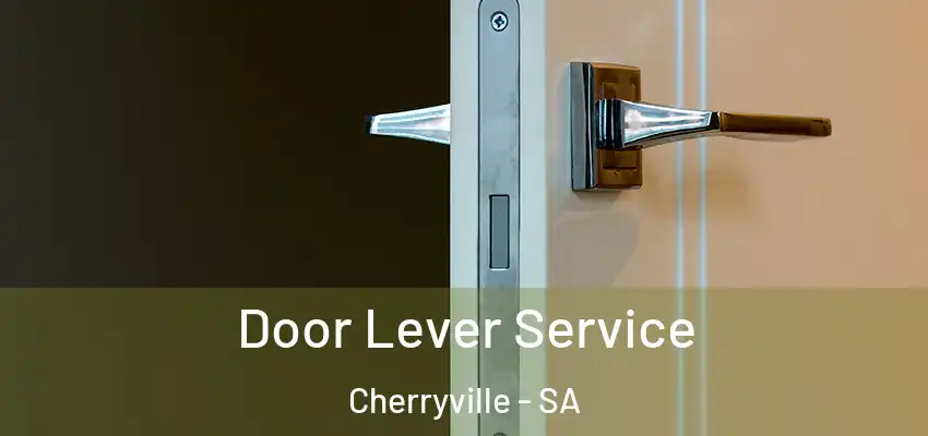  Door Lever Service Cherryville - SA