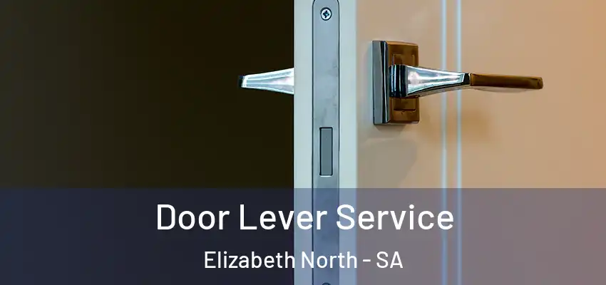 Door Lever Service Elizabeth North - SA
