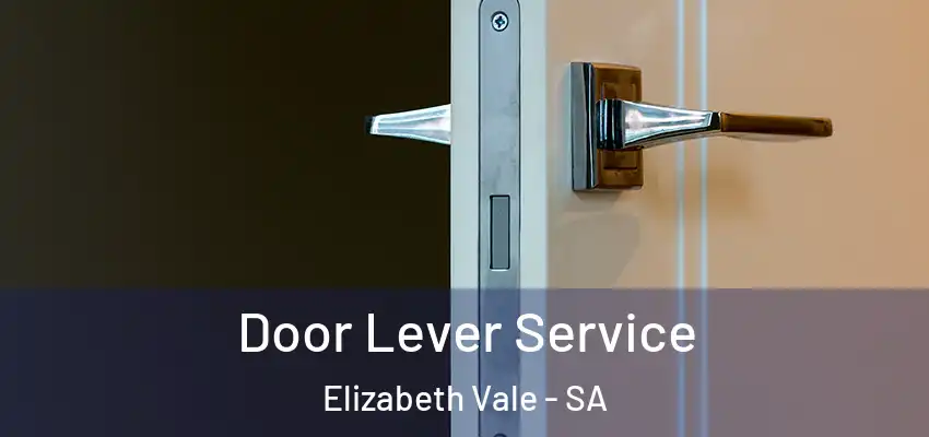  Door Lever Service Elizabeth Vale - SA