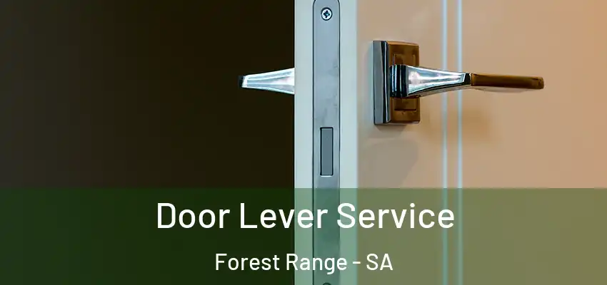 Door Lever Service Forest Range - SA