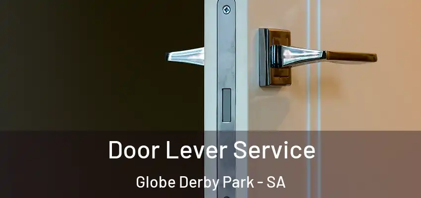 Door Lever Service Globe Derby Park - SA