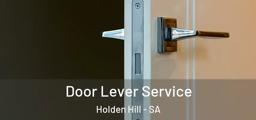 Door Lever Service Holden Hill - SA