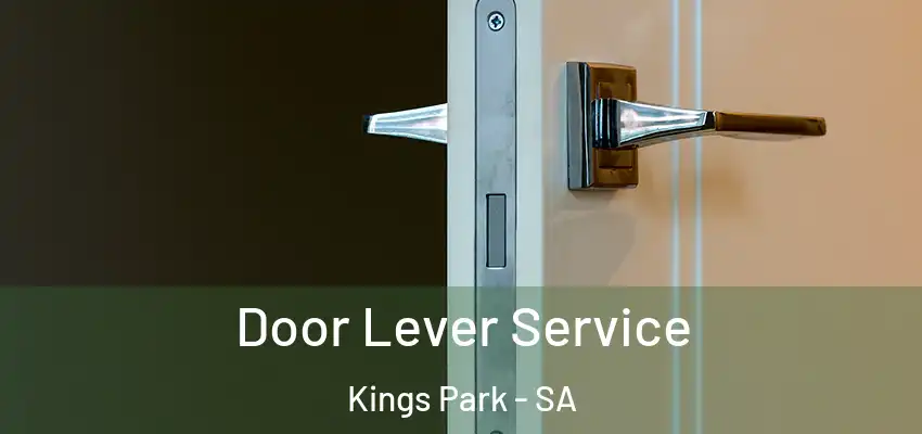 Door Lever Service Kings Park - SA