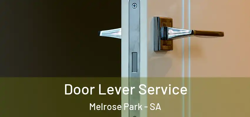  Door Lever Service Melrose Park - SA