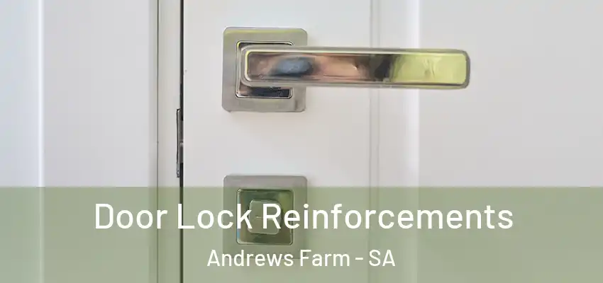 Door Lock Reinforcements Andrews Farm - SA