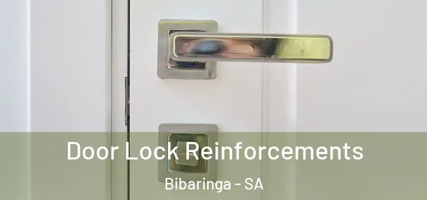 Door Lock Reinforcements Bibaringa - SA