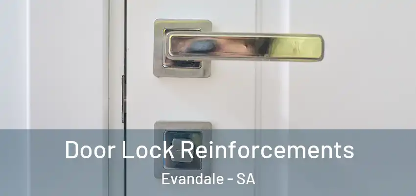 Door Lock Reinforcements Evandale - SA