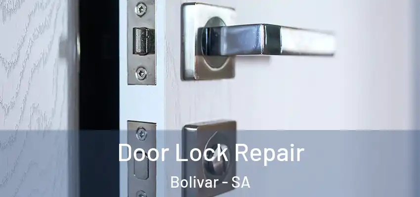 Door Lock Repair Bolivar - SA