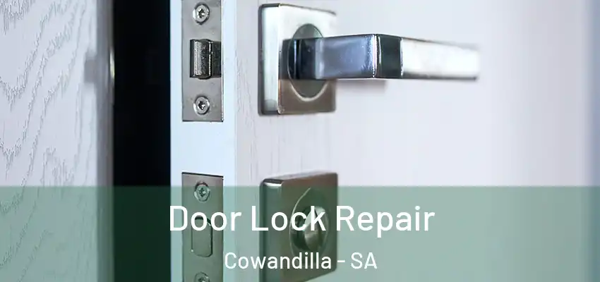 Door Lock Repair Cowandilla - SA