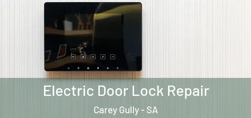 Electric Door Lock Repair Carey Gully - SA