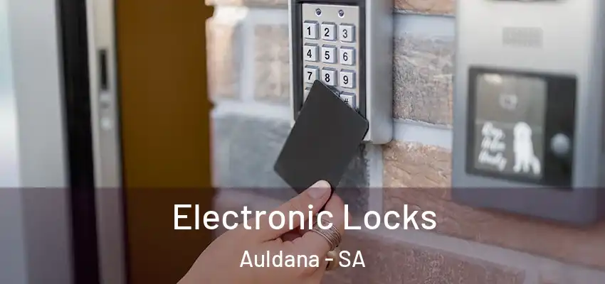 Electronic Locks Auldana - SA