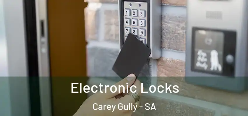Electronic Locks Carey Gully - SA